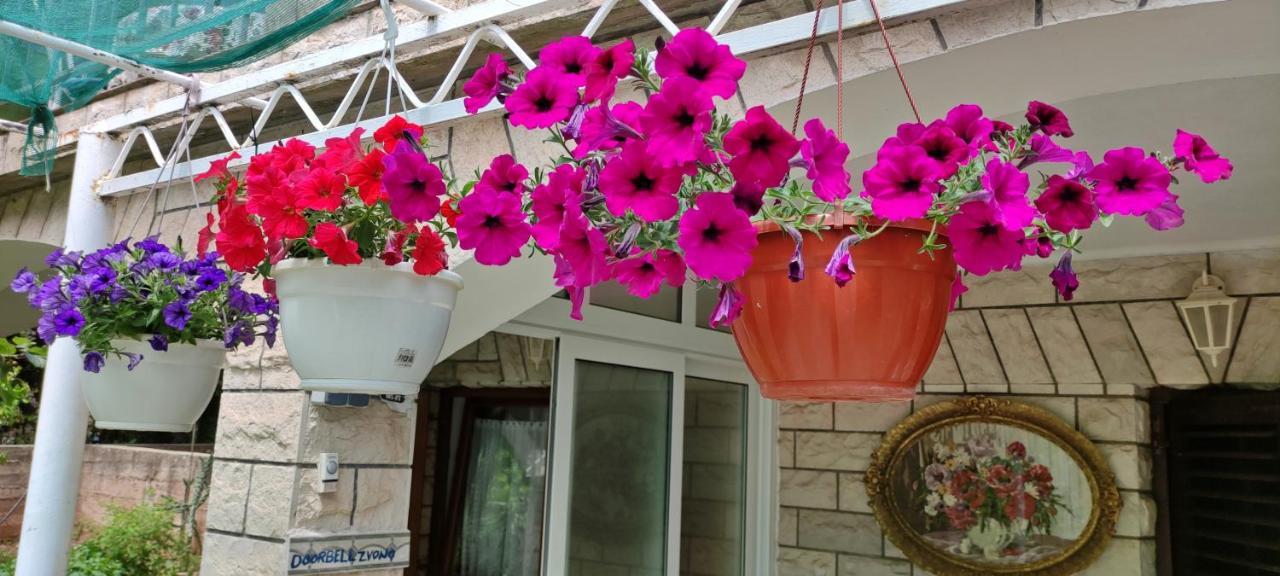 Apartments 1000 Flowers スタリー・グラード エクステリア 写真