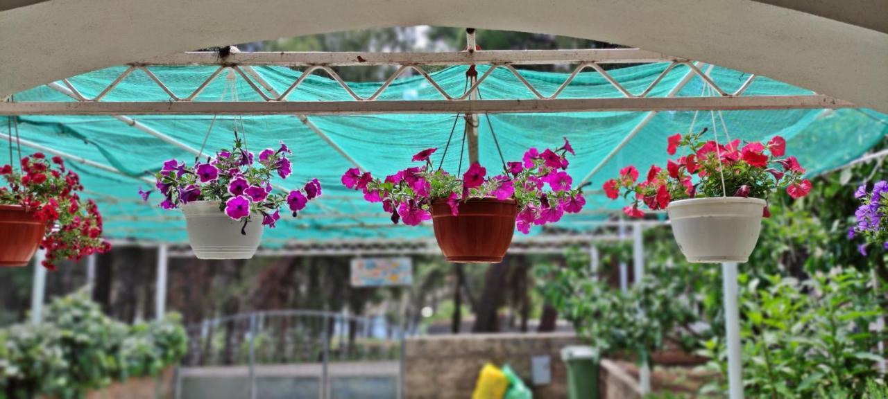 Apartments 1000 Flowers スタリー・グラード エクステリア 写真