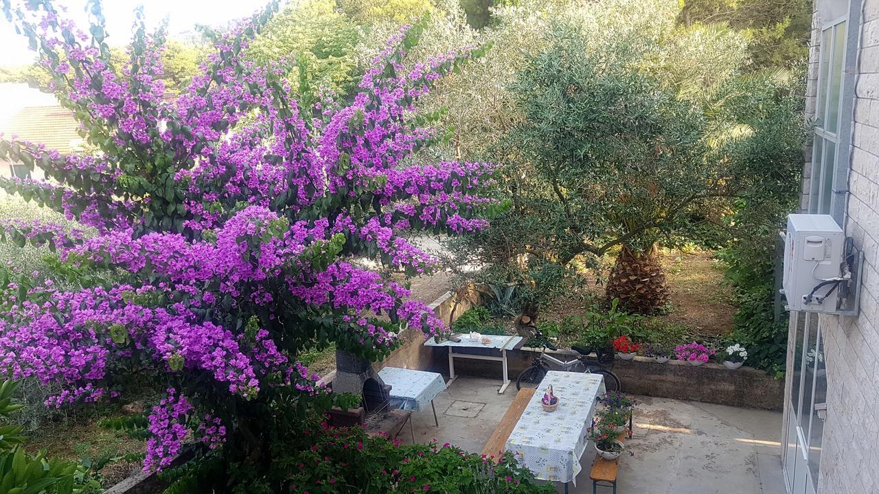 Apartments 1000 Flowers スタリー・グラード エクステリア 写真